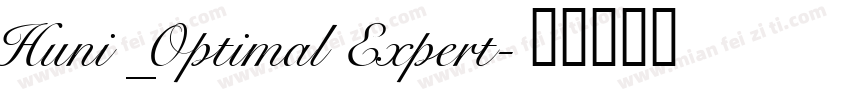 Huni_Optimal Expert字体转换